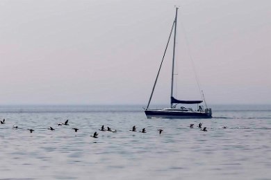 Ejdersträck vid segelbåt