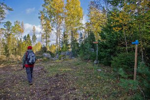 Spårbyte på leden Det finns många stigar i reservatet. Vissa har bitvis orange eller blå markering. Det är olika hur väl röjda de är. En gammal orange-märkt led går genom området...
