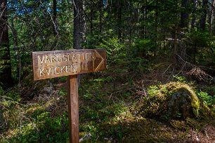 Ledskyltar Stigarna genom naturreservatet är bra markerade.