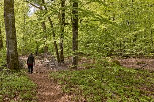 Bjurkärrs naturreservat
