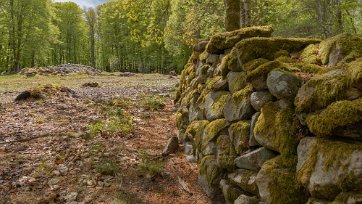 Bjurkärrs naturreservat Hallsnäsalyckan: Denna öppna mark på en halvö i Åsnen sköts genom slåtter. När det fanns torpare var det en lycka, dvs en liten åker som torparen röjt fram i...