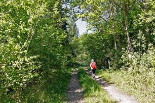 Gammal körväg Den som tröttnar på stigen inne i skogen kan välja den gamla körvägen tillbaka.