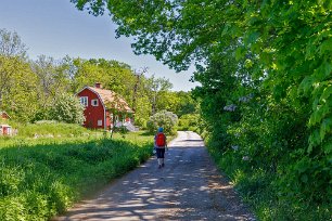 Landsvägspromenad Promenad på landsvägen till reservatsgränsen.
