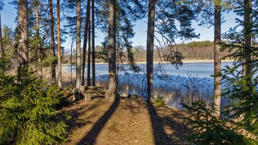 Rastplats Rastplats på östra sidan av ön.