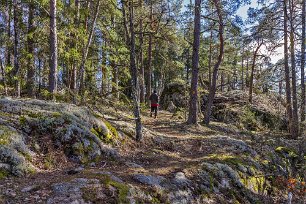 Upp mot högsta punkten Upp mot högsta punkten, drygt 40 m.ö.h