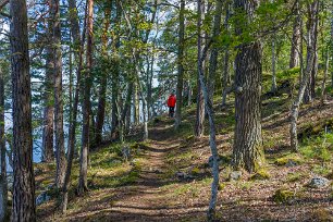 Bålbergsudden Längs Bålbergsuddens stig vid Rockelstaviken i Båven.
