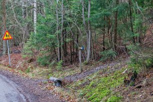 Rundslinga i naturreservatet 200 meter innan parkeringsplatsen går vandringsleden brant upp genom skogen.