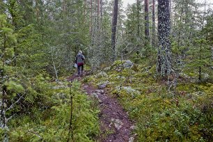 Rundslingans början Början på rundslingan i reservatet.