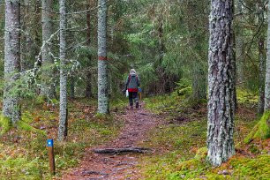 Rundslinga i naturreservatet Blå markeringar visar fram till sörmlandsledens rundslinga.