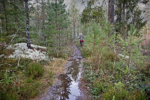 Rundslinga i naturreservatet Blöt stig efter efter föregående dagars regn.