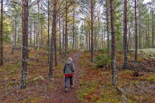 Grådiset skingras Äntligen späds grådiset ut och himlen klarnar.