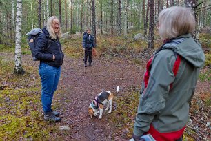 Möte med vandrare Möte med vandrare och en ung beagle.