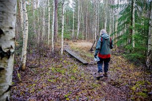 Rundslinga i naturreservatet Genom ett område med mindre sumpdråg (en dalsänka där grundvattnet kommer upp i eller nära markytan och som därför domineras av en rad fuktighetsälskande...