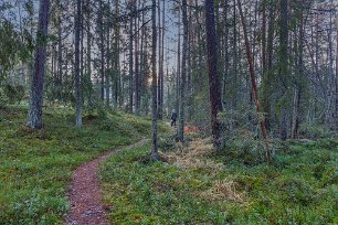Soldis på återvägen Soldis bryter genom molntäcket under vandringen tillbaka från Glådran.