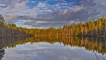 Tjärnet Glådran Vid tjärnet Glådran möts stigarna i reservatet. Glådran är i praktiken en liten grund skogssjö med jordig lös botten.