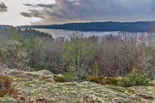 Rundslinga i naturreservatet Från Björndalsberget har man en vacker utsikt med Laxne i bakgrunden.