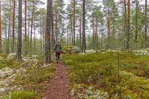 Rundslinga i naturreservatet Vidare norrut i reservatet.