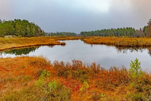 Göl i myrmarken En göl i myrmarken dvs en vattensamling som bildas ovanpå myren.