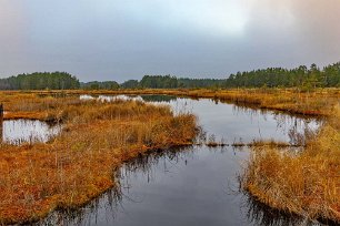 Myrmarker Vattenspeglar i myrmarken