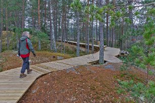 Nylagd spång Spängerna byts ut undan för undan mot nya. Sommaren 2021 beräknas hela den 4 km långa slingan var framkomlig med rullstol.