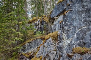 Kalkrikt berg Naturreservatet ligger på ett litet berg med kalksten i bakgrunden. Skyddat fr o m 2016. På grund av den kalkrika marken mycket artrikt; 20 hotade arter och...