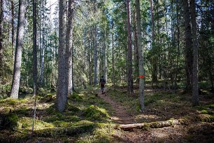 Ekeby naturreservat