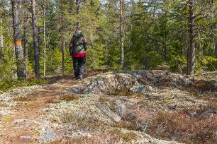 Ekeby naturreservat Över stenhällar med vitlav.
