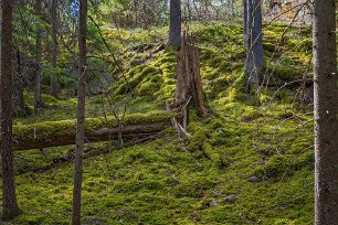 Ekeby naturreservat
