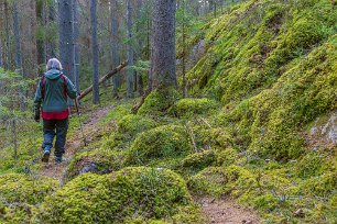 Ekeby naturreservat