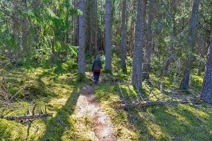 Ekeby naturreservat