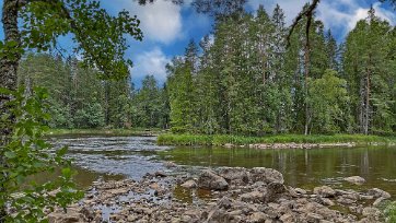 Färnebofjärdens nationalpark Del av Färnebofjärden.