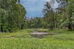 Färnebofjärdens nationalpark I bakgrunden del av Färnebofjärden.