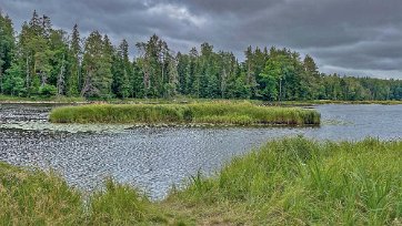 Färnebofjärdens nationalpark Gräsö i älvfåran.