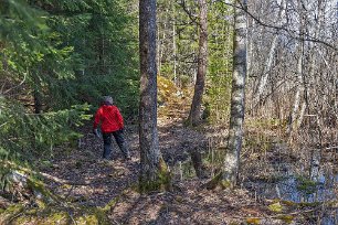 Övergiven badplats på Lagnö Stigen på Lagnös ösra sida går nära sundet och är bitvis ganska stenig och gropig.