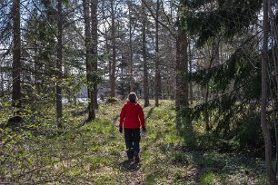Mot udden på Lagnö Bekväm vandring ut på Lagnös norra udde.