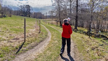 Till Fållökna Från vägen till naturreservatet kan man också via en bro från Follökna Vängård lite längre bort nå Trollön med bänkar och vacker usikt över sjön Nedingen.