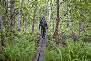 Sörfjärdens naturreservat Lång spånggång
