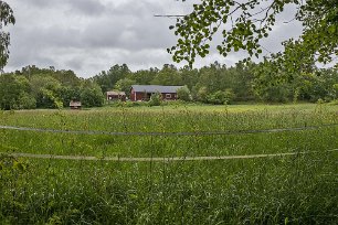 Sörfjärdens naturreservat Sjötorps gård