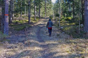 Gammal bruksväg Början av leden går på en gammal bruksväg genom öppen skog med enar och lövträd.