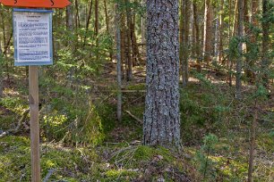 Gällsjömossens naturreservat Gropen bakom tallen är en av många kolbottnar i reservatet och lämningar efter kolminor, som minner om den omfattande träkolsframställningen. Den ökade kraftig...