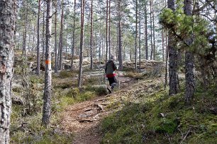 Gällsjömossens naturreservat Upp mot högsta punkten nästan 100 m ö.h.