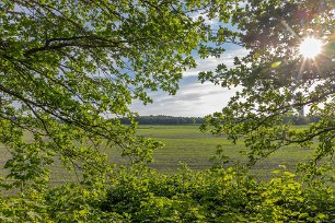 Lötfälten Vy från åsen i Gorsingeholm mot Lötfälten.