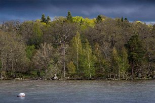 Gorsingeholm Kvällssol vid Gorsingeholmsstranden