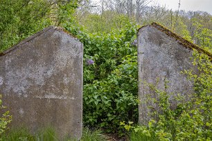 Gorsingelund Rest av växthus från 1920-talet.