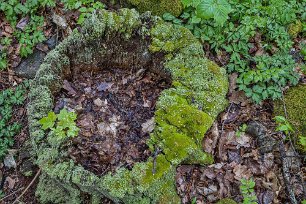 Gorsingelund Stubbe i Gorsingelund