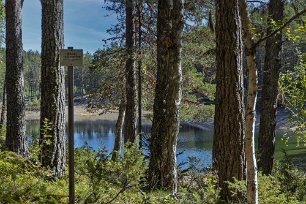 Gröntjärns högsta nivå Högnivån finns markerad med en skylt vid ingången till sjön.