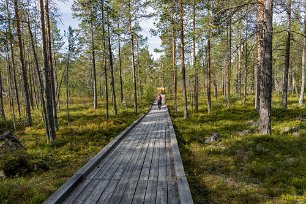 Bred landgång Lättgången promenadväg in i nationalparken från huvudentrén.