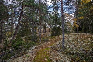 Stig till utsiktspunkt Stigen upp till utsiktsplatsen.