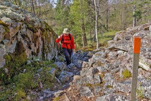 Upp till Skansberget Brant stig upp till Skansberget.