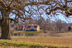 Herrökna gård Herrökna gård fotograferad från reservatet på andra sidan. Herrgårdslandskapet med de flera hundra är gamla ekarna minner om den tid då Herröknanäs var ett...